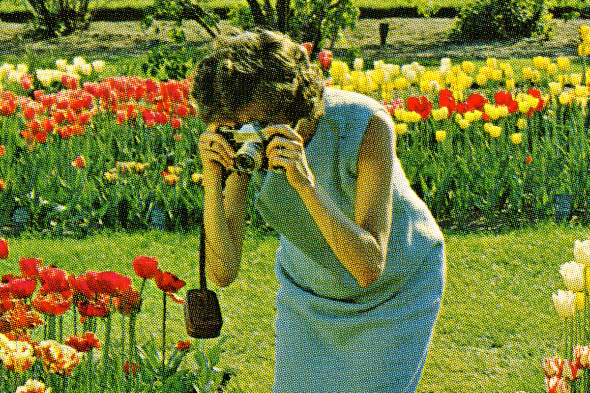 Anonyme, <i>Carte postale en quadrichromie</i> [détail], vers 1960. Collection de Michel Campeau