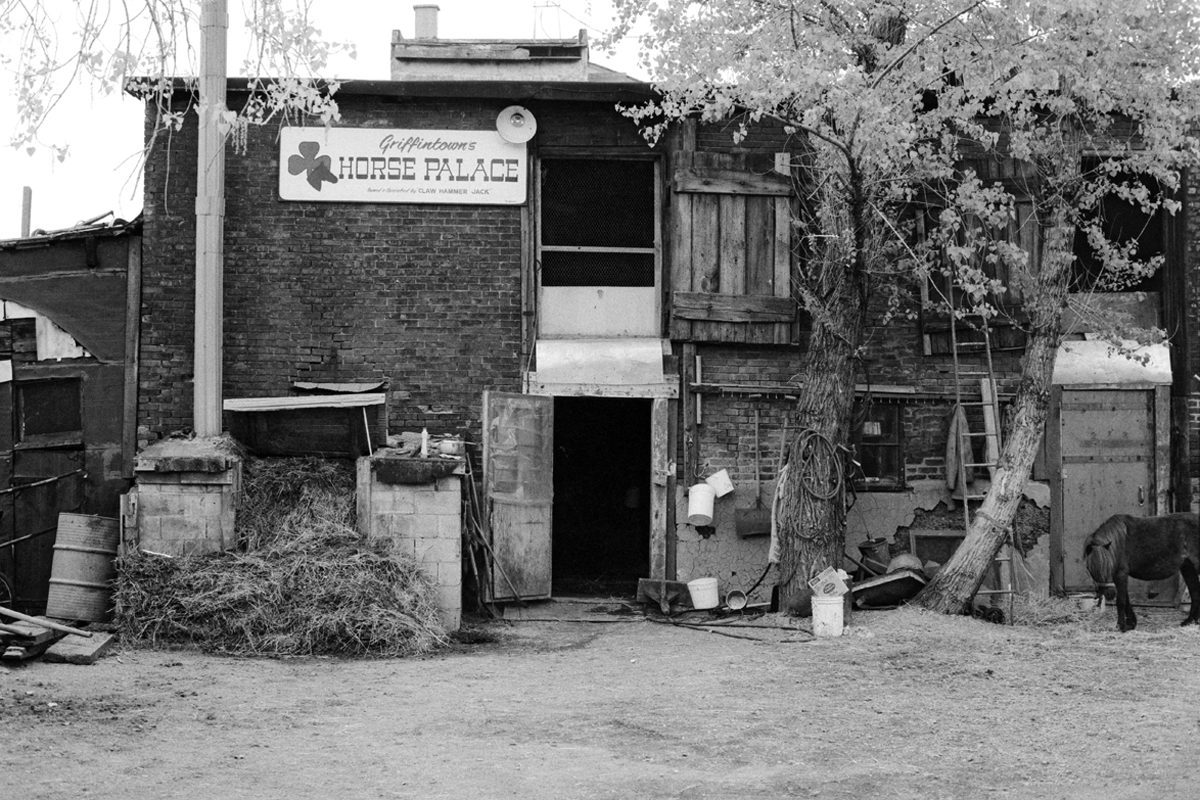David Wallace Marvin, <i>Griffintown Horse Palace, carriage stable, Griffintown</i>, about 1970, 35 mm negative, 2.3 x 3.5 cm, MP-1978.186.1.4940