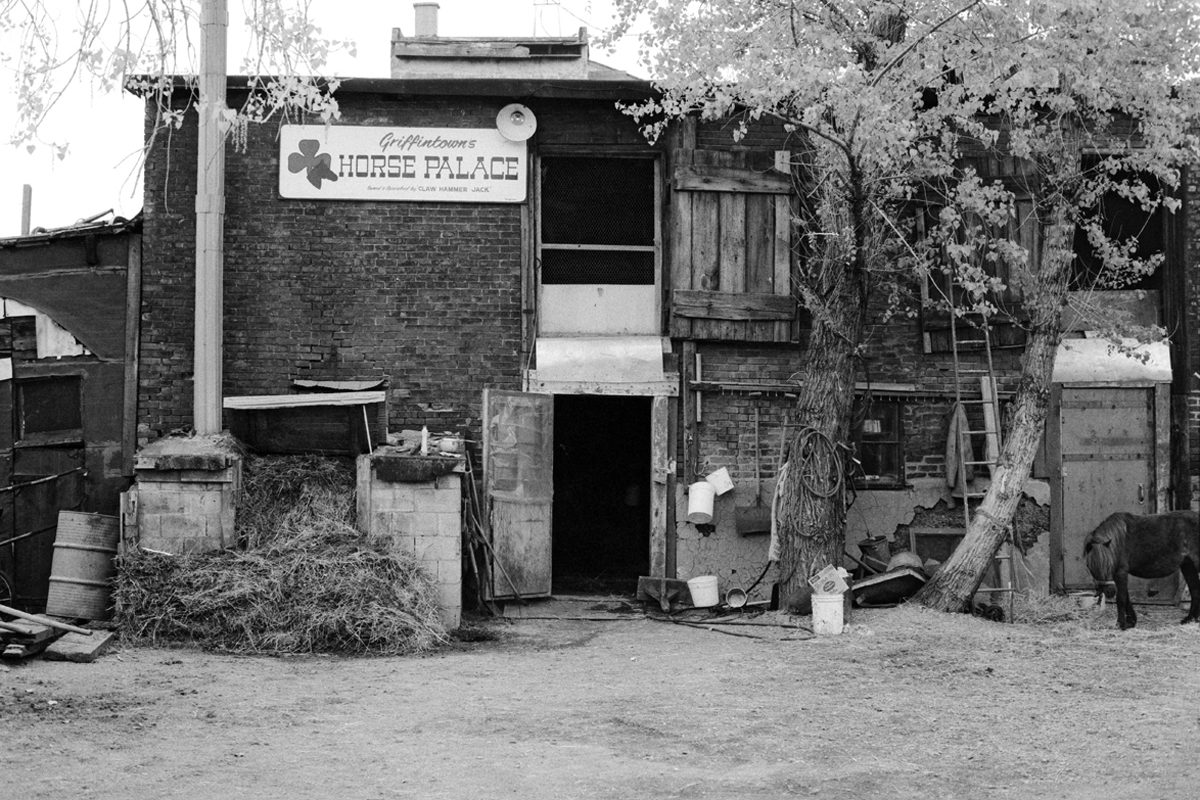 David Wallace Marvin, <i>Le Horse Palace de Griffintown, étable à calèches, Griffintown</i>, vers 1970, négatif 35 mm, 2,3 x 3,5 cm, MP-1978.186.1.4940