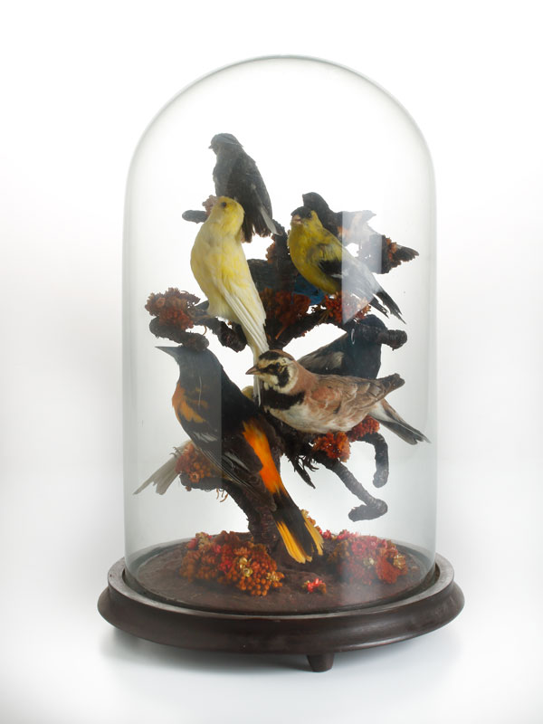 Bell jar, 1870-1890. Gift of Sandra Lang and Sarah Powell, M994.48.2.1-2 © McCord Museum