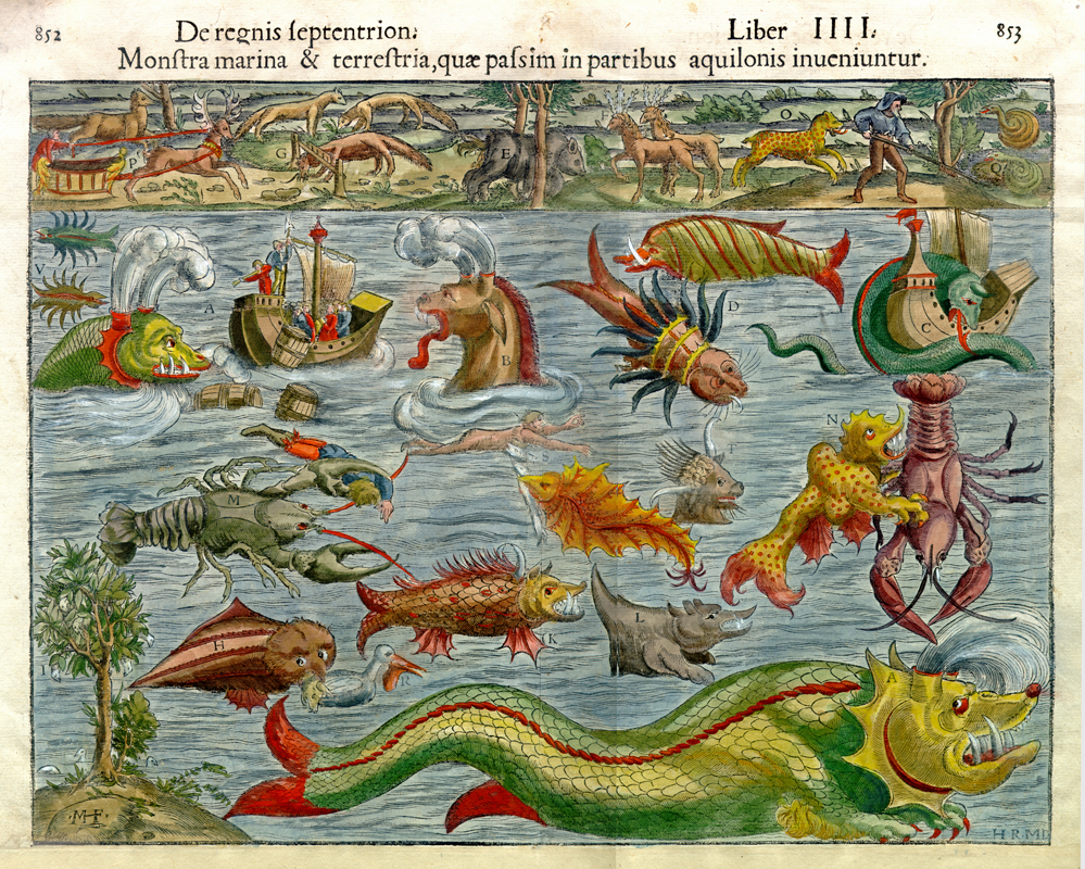 After Olaus Magnus, <i>De regnis septention Monstra marina & terrestria</i>, about 1550. 1978.323, McCord Stewart Museum