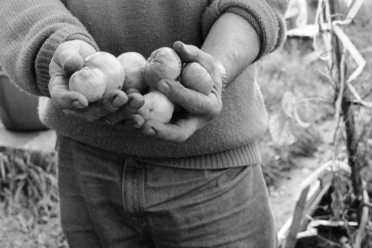 Ewa Monika Zebrowski, from the series <i>A Celebration of Place – Châteaufort Community Garden, Montreal</i>, 1999. Gift of Ewa Monika Zebrowski, M2020.30.1, McCord Stewart Museum