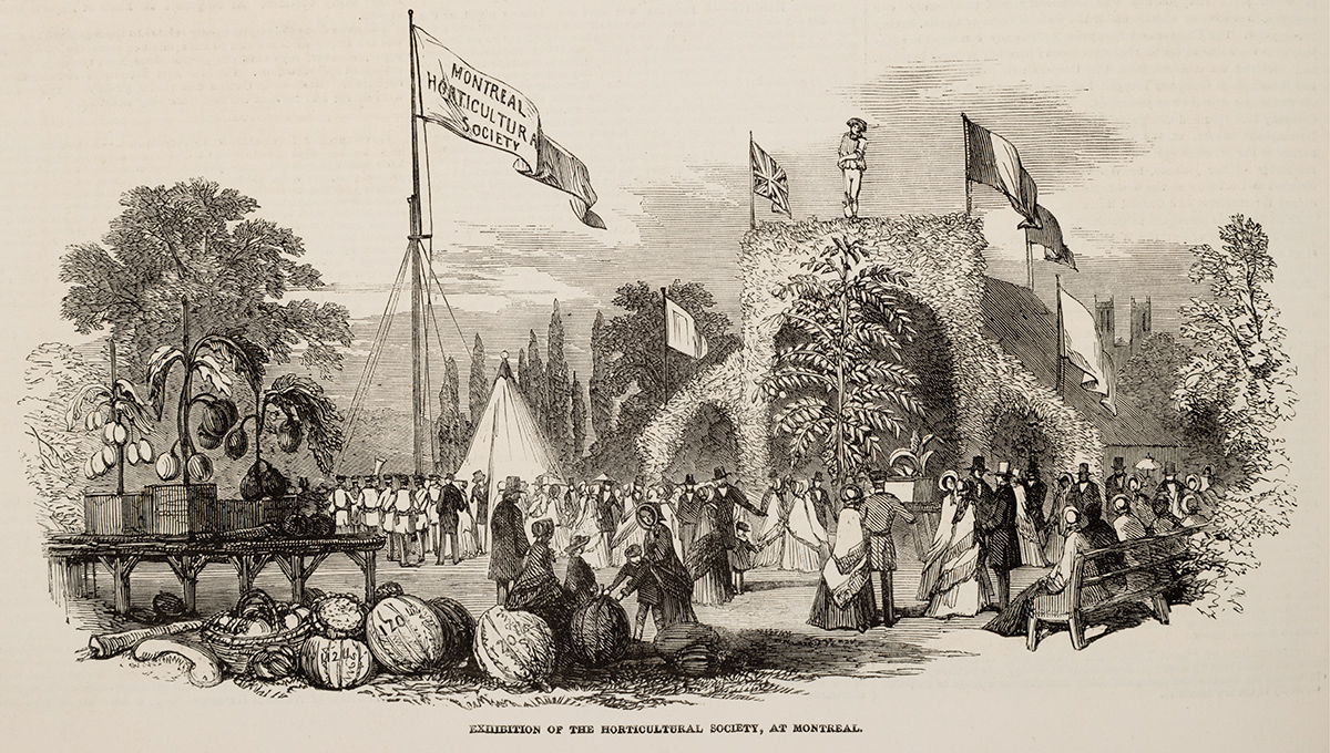 Exhibition of the <I>Horticultural Society at Montreal</I>, October 16,1852, wood engraving published in <I>The Illustrated London News</I>. Gift of Edith Milburn Ross, M21990.21.320.1, McCord Stewart Museum