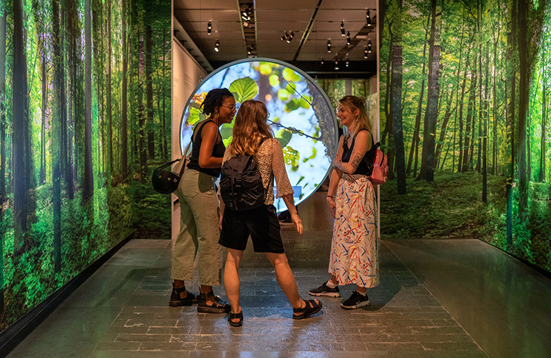 © Musée McCord Stewart Museum