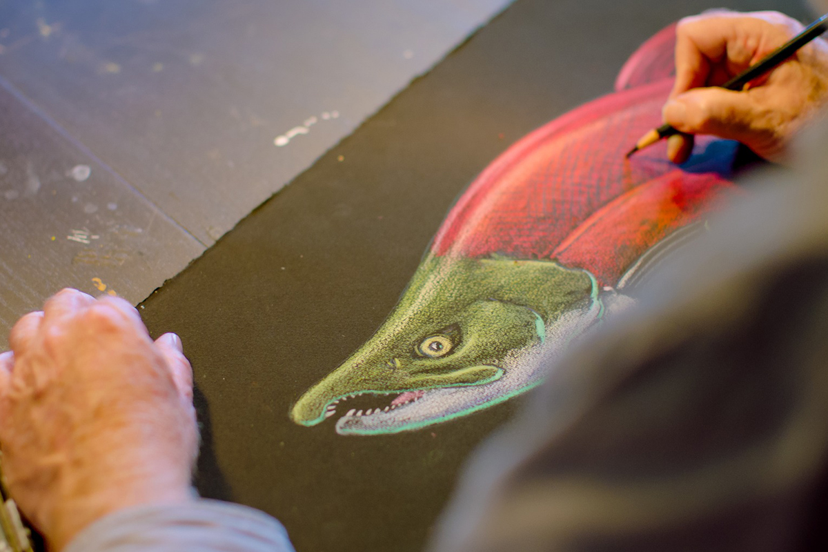 <em>The Salmon Forest Project</em>