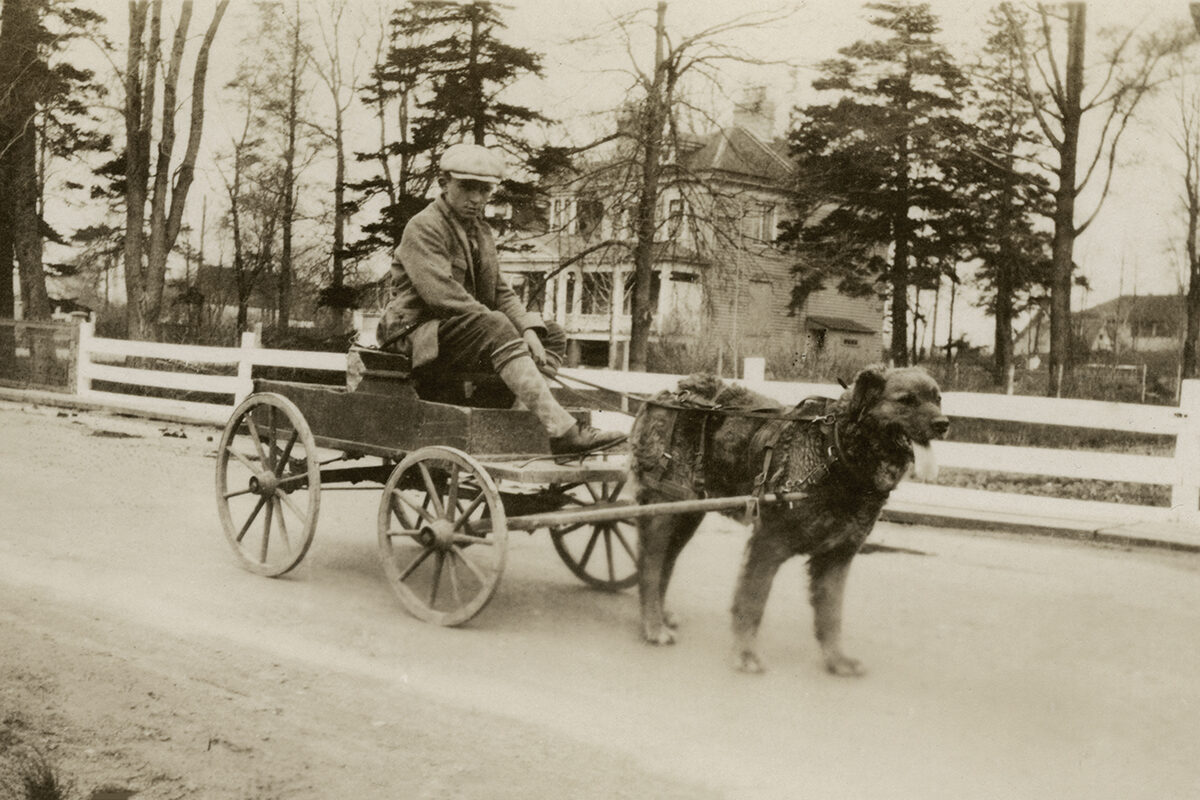 Robert Bruce Bennet, <i>Garçon dans une charrette tirée par un chien, près de Québec</i>, 1929. Don d’Elizabeth Lewis, MP-1992.9.3.30, Musée McCord Stewart