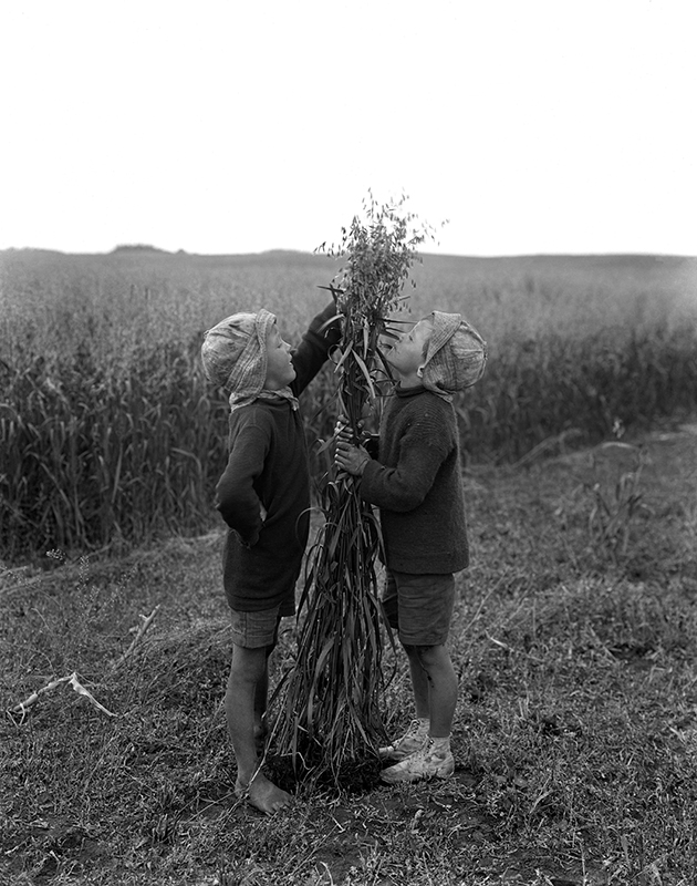 Wm. Notman & Son, <i>De l’avoine robuste et des fermiers robustes, enfants Weaver, Lloydminster, Sask.</i>,1920, Musée McCord Stewart, VIEW-8556