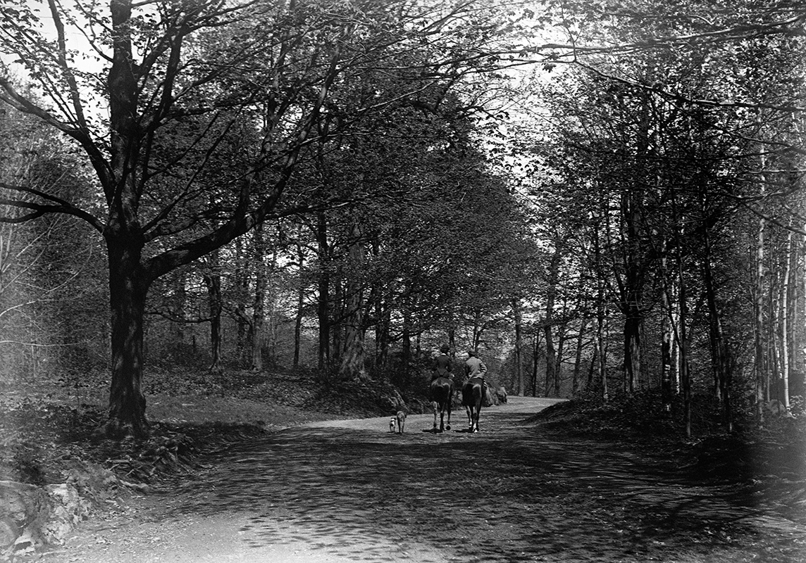 Wallis & Shepherd, <i>Mount Royal Park Road</i>, 1900. Gift of Stanley G. Triggs, McCord Stewart Museum, MP 0000.27.102