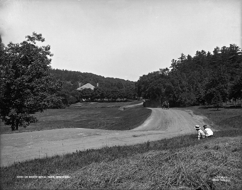 Wm. Notman & Son, <i>In Mount Royal Park</i>, about 1900. McCord Stewart Museum, VIEW-3366