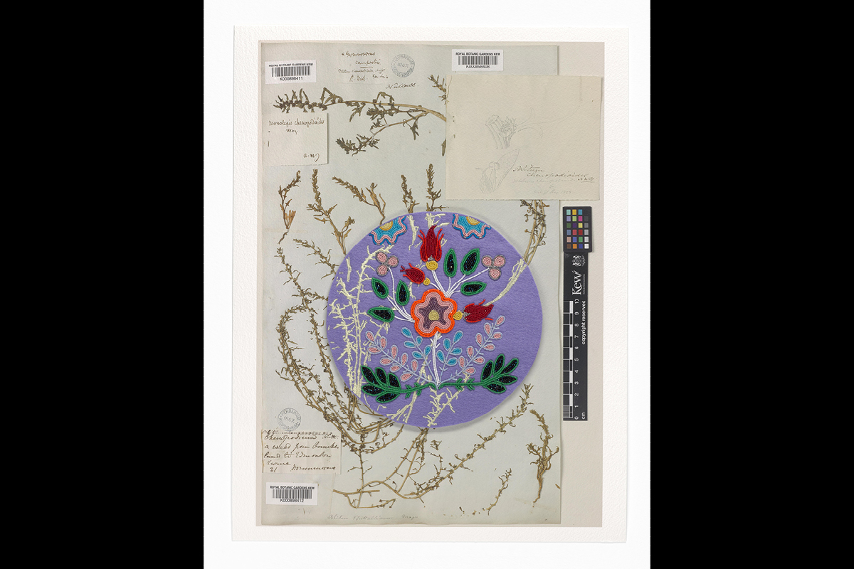 Portails : les plaines de la rivière Saskatchewan / Portals: Plains of the Saskatchewan River, 2026, Carrie Allison